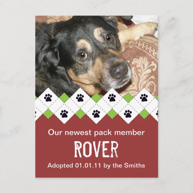 Annonsering om adoption av hund/ valp meddelande vykort (Framsida)