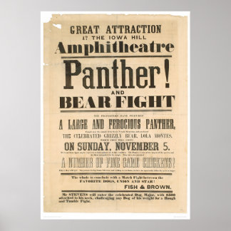 Annonsering om pander och björnkbekämpning (1293A) Poster