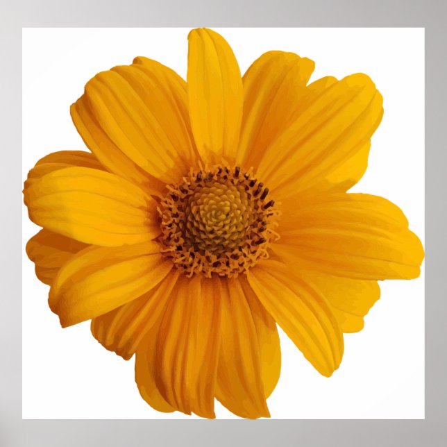 Annotation konstnär poster (Framsidan)