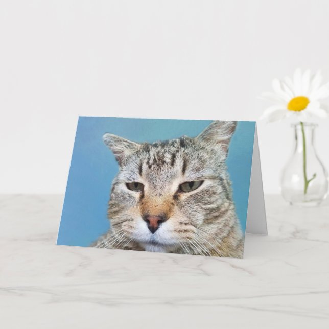 Annoyed Cat Cancer Encouragement Kort (Liten växt)