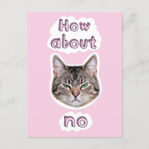 Annoyed Cat Inbjudan Vykort