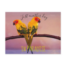 Ännu en dag i PARADISE