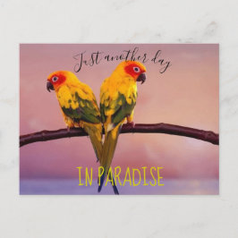 Ännu en dag i PARADISE Vykort