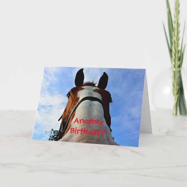 Ännu en födelsedag? Funny Horse Birthday Card Kort (Framsida)