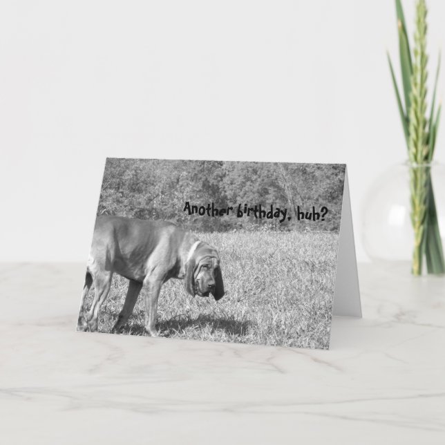 Ännu en födelsedag, va? Hound Hund Birthday Card Inbjudan (Framsida)