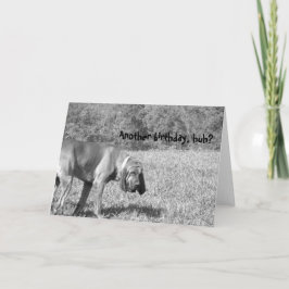 Ännu en födelsedag, va? Hound Hund Birthday Card Inbjudan