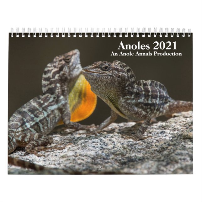 Anole Annals 2021 Calendar Kalender (Omslag)