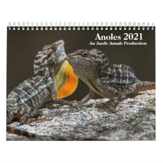 Anole Annals 2021 Calendar Kalender