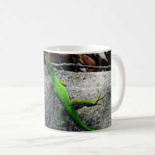 Anole Lizard 6704 Kaffemugg