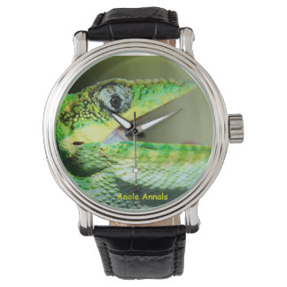 Anole Watch: Anolis equestris Armbandsur