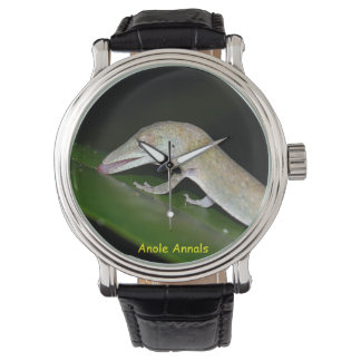 Anole Watch: Anolis occultus Armbandsur