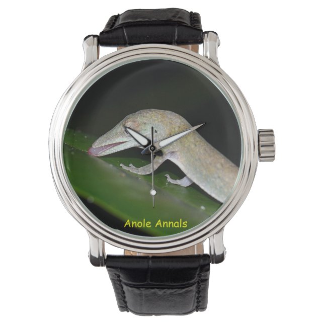 Anole Watch: Anolis occultus Armbandsur (Framsida)