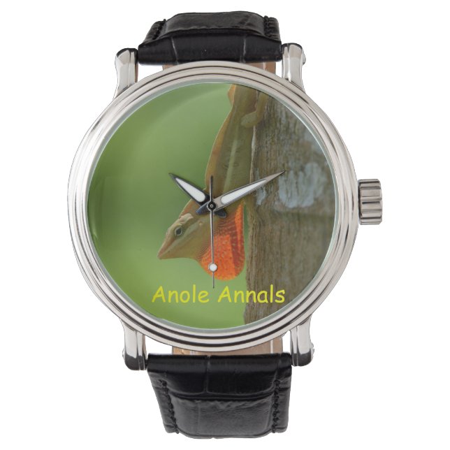 Anole Watch: Anolis pulchellus Armbandsur (Framsida)