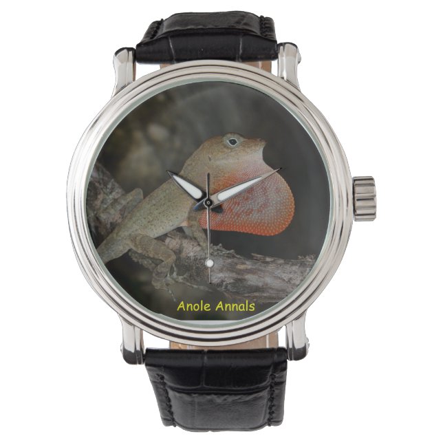 Anole Wristwatch: Anolis marcanoi Armbandsur (Framsida)