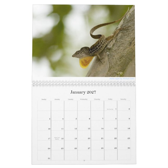 Anoles 2013 kalender (Jan 2027)