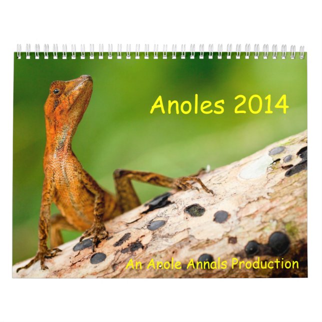 Anoles 2014 kalender (Omslag)