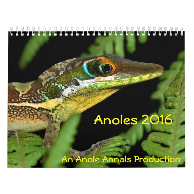 Anoles 2016 - En Anole annalerproduktion Kalender (Omslag)