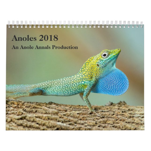 Anoles 2018 - En Anole annalerproduktion Kalender (Omslag)