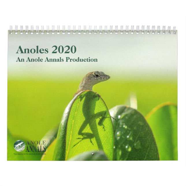 Anoles 2020 - An Anole Annals Production Kalender (Omslag)
