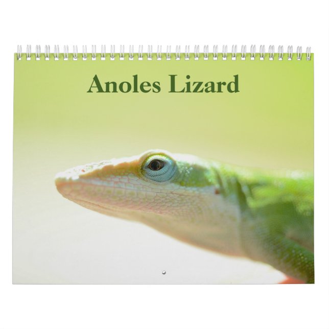 Anoles Lizard Calendar 2025 Kalender (Omslag)