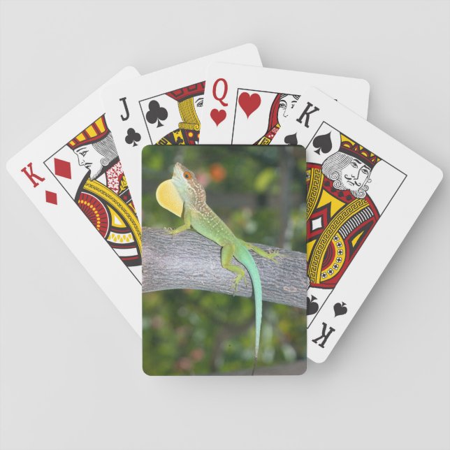 Anolislividus som leker kort spelkort (Baksidan)