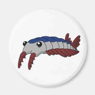 Anomalocaris- förhistoriskt djur magnet