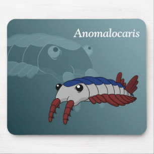 Anomalocaris- Förhistoriskt djur Musmatta