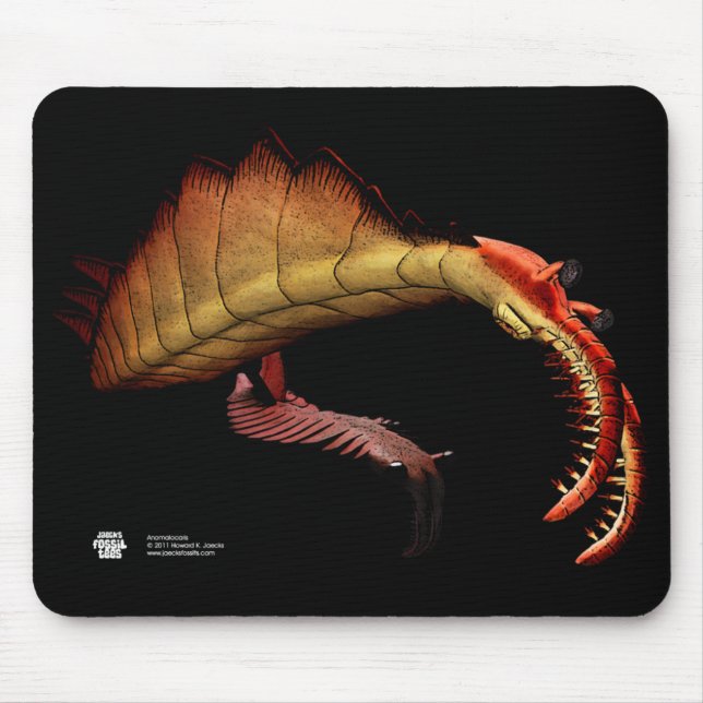 Anomalocaris Mousepad Musmatta (Framsidan)