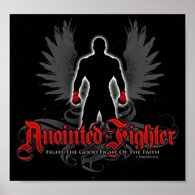 Anonat Fighter-Poster Poster (Framsidan)