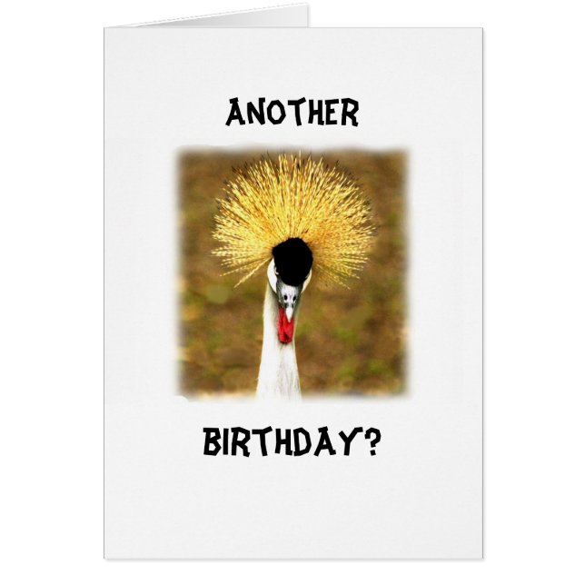 Another Birthday? Card for Senior Citizen Hälsningskort (Framsidan)