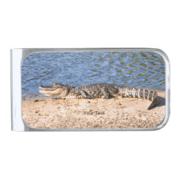 Anpassa Alligator-solning vid sjö Sedelklämma Med Silverfinish