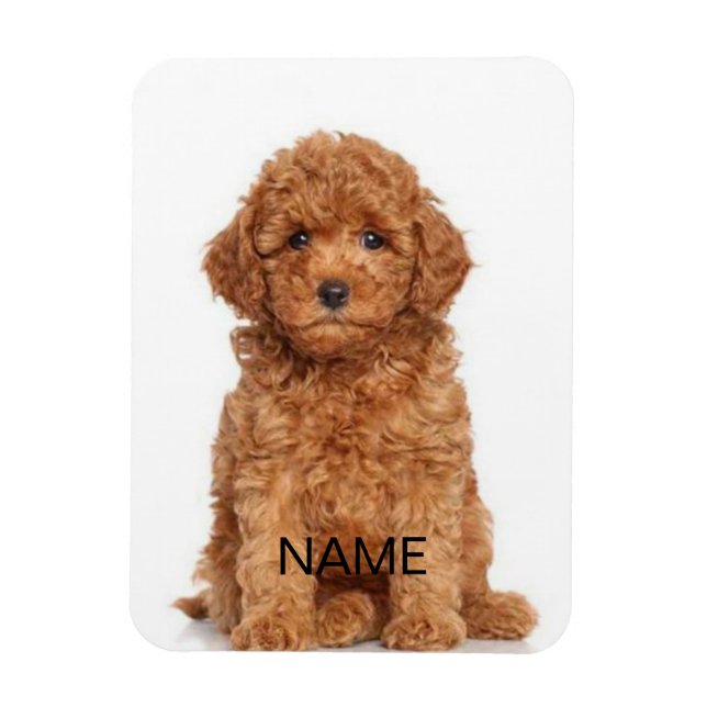 Anpassa anpassning med foto och namn magnet (Vertikal)