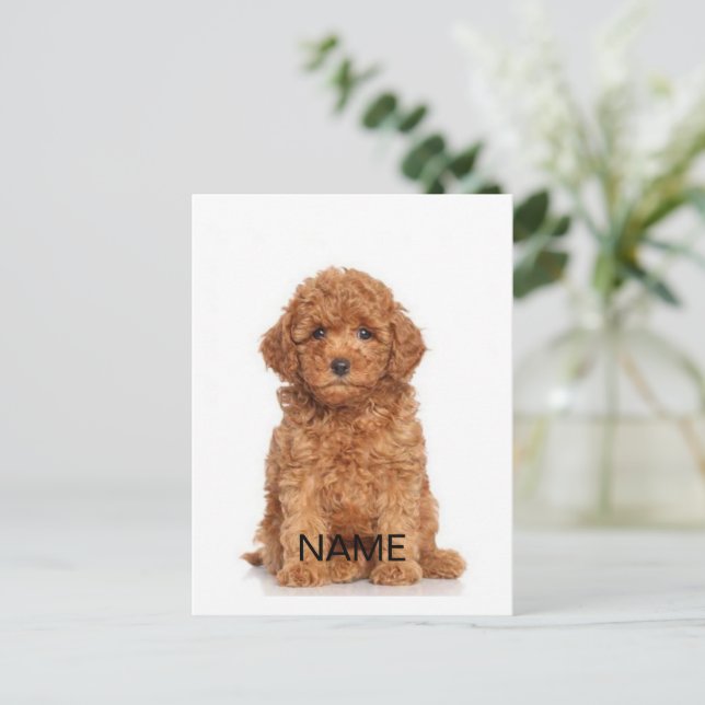 Anpassa anpassning med foto och namn vykort (Stående Fram)