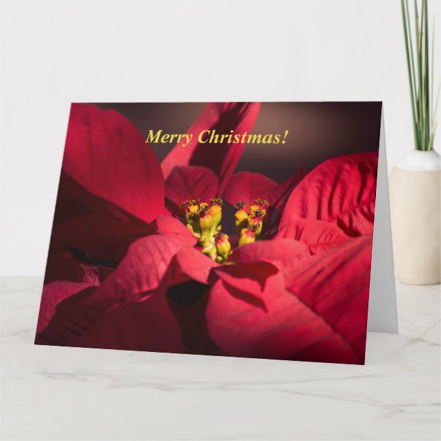 Anpassa blommarna till Julrött poinsettia Kort (Framsida)