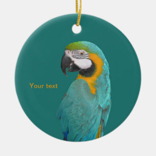 Anpassa Blue och Guld Macaw porträtt Julgransprydnad Keramik