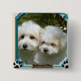 Anpassa Cavachon Hund Magnet Knapp
