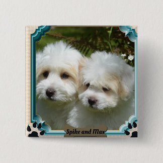 Anpassa Cavachon Hund Magnet Knapp