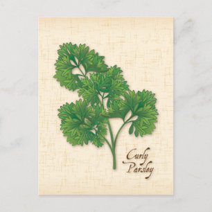 Anpassa Curly Parsley Herb-vykort Vykort