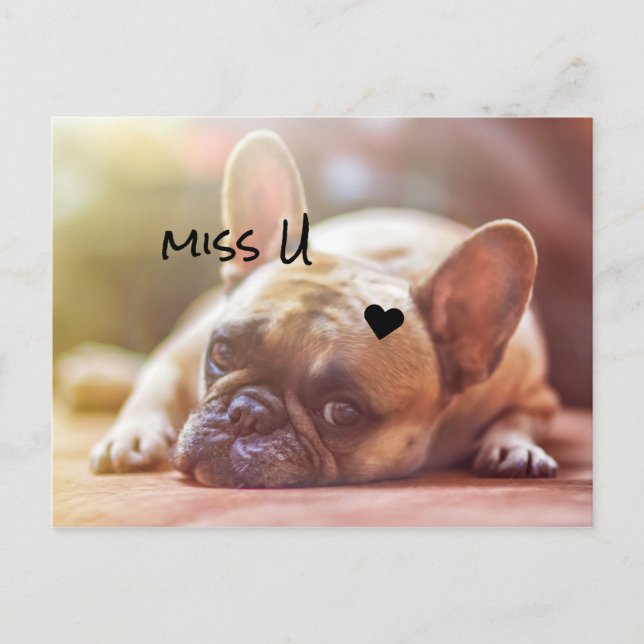 Anpassa Cute Doggy Vykort (Framsida)