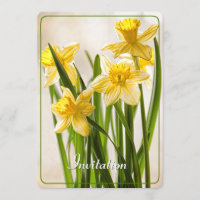 Anpassa:  Daffodils av Gult för fotografi i Floren