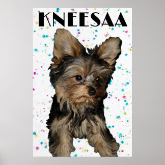 Anpassa den! Blommigt Specklad Pet Photo & Namn Poster