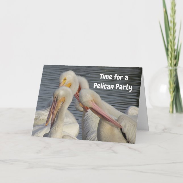 Anpassa den här kvartetten av pelikaners födelseda kort (Framsida)