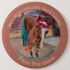 ANPASSA DEN HÄR STUDENTEN AWAD-menyfliksknappen Knapp