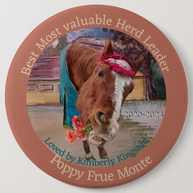 ANPASSA DEN HÄR STUDENTEN AWAD-menyfliksknappen Knapp (Framsida)