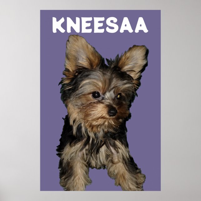 Anpassa den! LAVENDER Husdjursfoto & Namn Poster (Framsidan)