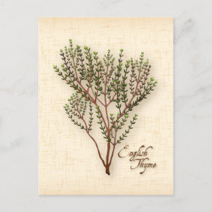 Anpassa det engelska vykortet Thyme Herb Vykort