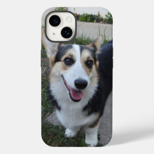 Anpassa det här med ditt Pet Photo