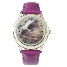 Anpassa det! Husdjursfoto