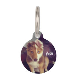 Anpassa din egen djurbricka