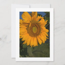 Anpassa din inbjudan till Anpassningsbar av kort